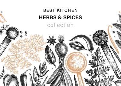 Hand drawn herbs and spices vector banner design. Hand-sketched food illustration. Vintage aromatic plants hand-drawing. Kitchen herbs and spice frame template in sketched style.